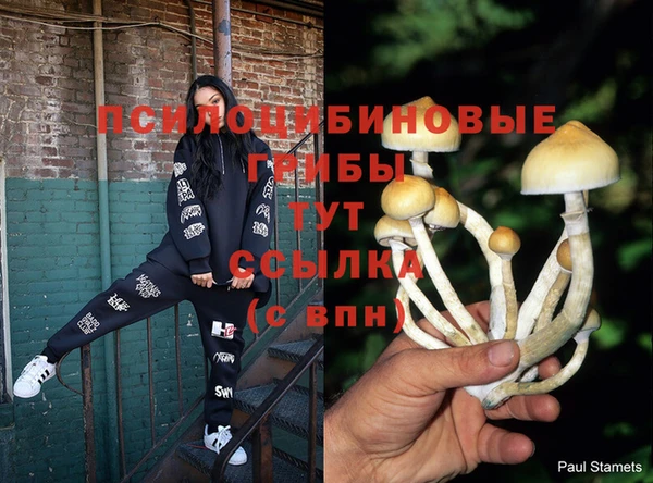 эйфоретик Сосновоборск